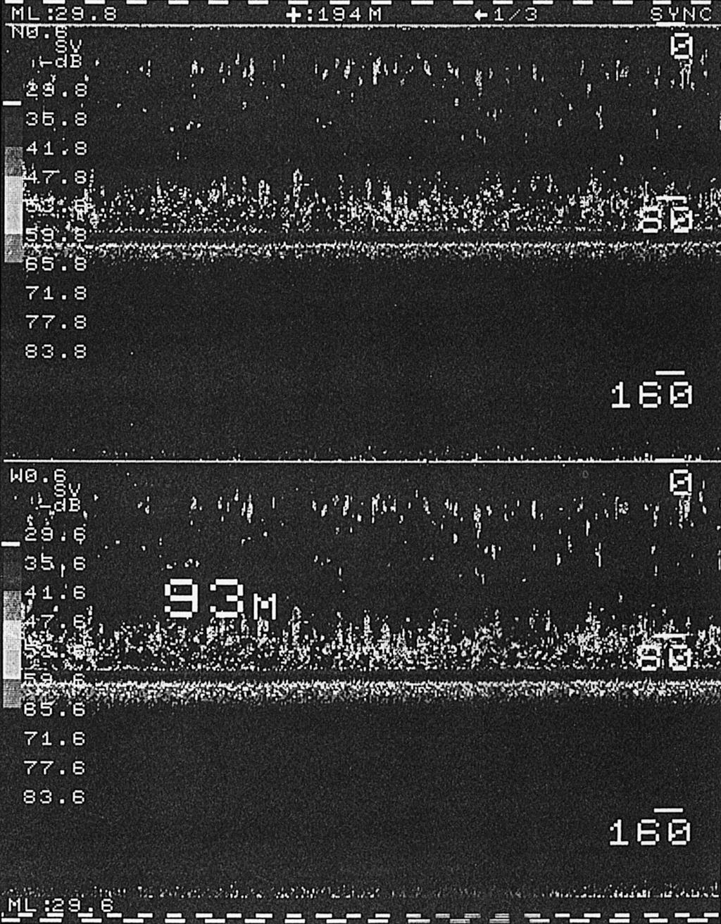Dual-beam echo integration 353 Range (m) 1 1 2 224 223 Time Figure 1. An example echogram made on 16 September 1989.