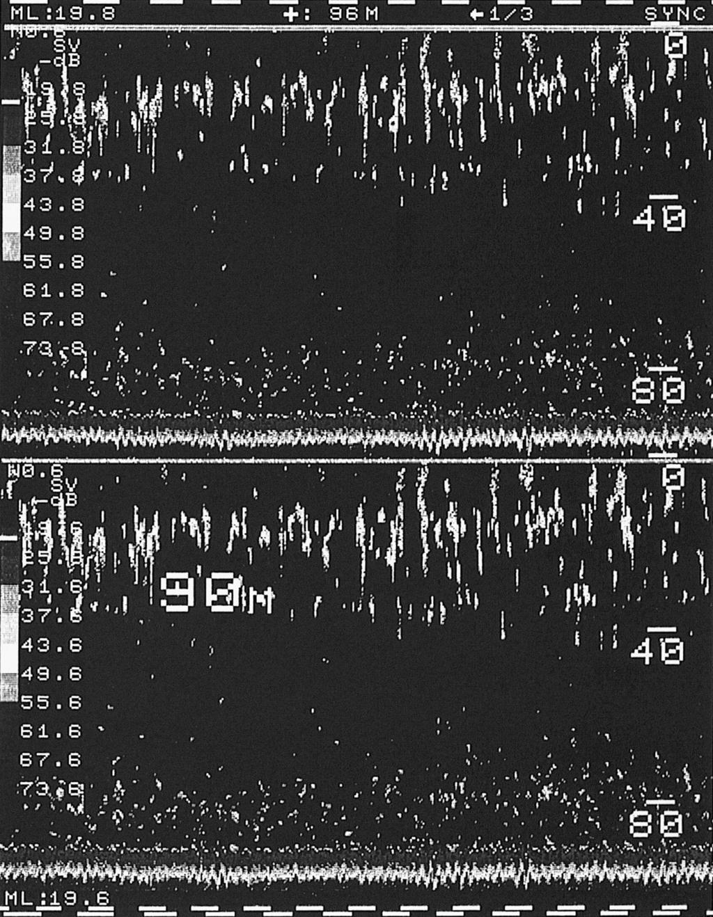 356 Y. Takao and M. Furusawa 5 Range (m) 5 1 25 3 35 Time Figure 4. An example echogram made on 17 September 1989, original in colour.