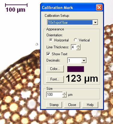 Add a Calibration Bar Choose appearance and size of bar (Color, Font, Size [um]) Click on the image where you would like the bar to be.