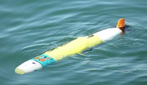 III. PLATFORMS The network includes gateway buoys, REMUS vehicles and other types of underwater vehicles, both swimming and crawling.