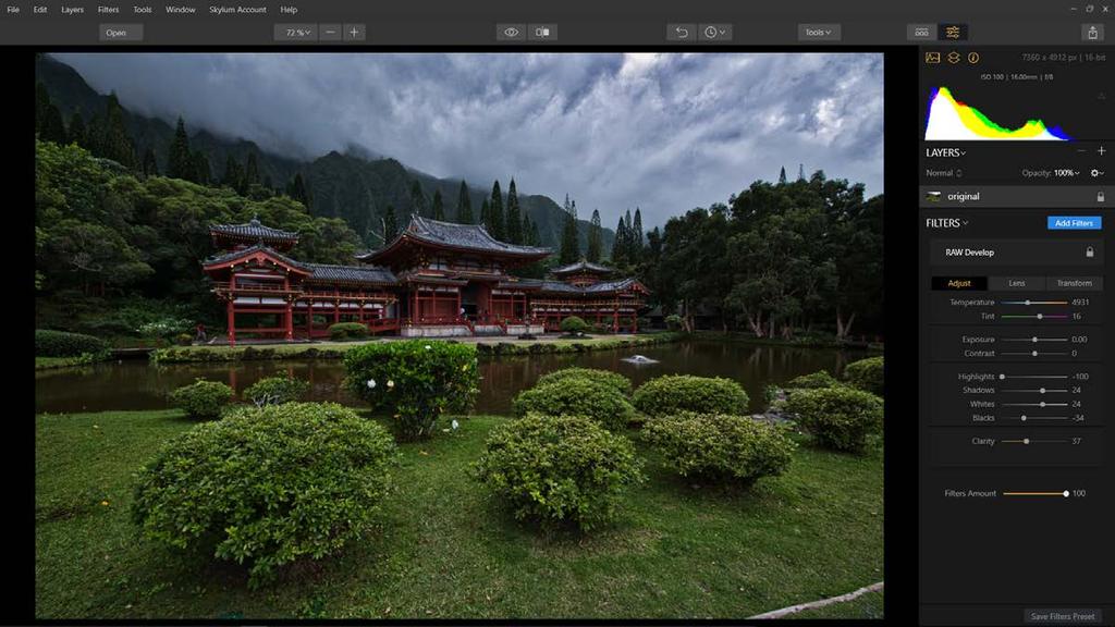 How to Develop a RAW Photo When working with raw files, it is recommended that you apply the Raw Develop filter to the image in order to fine-tune the raw image.