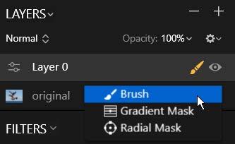 Masking Options in Luminar The use of masks allow you to hide or obscure parts of an image. Masks are useful so you can combine the contents or results of one layer with your primary image.