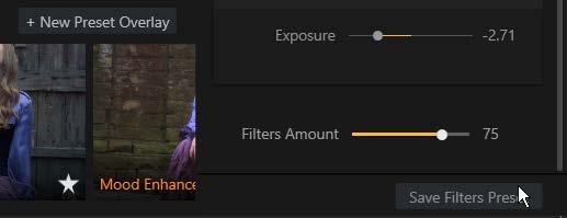 Once you select a preset, you have the ability in the Side Panel to use Filters controls to modify that preset to fit your specific image needs.