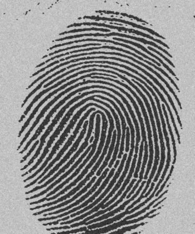 How many ridge characteristics can you identify in this fingerprint? http://www.dkfz.de/tbi/projects/bmcv/images/iu_it246_04s_fingerprint1.