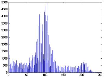 (c) LCC output with α =2.5. (d) Histogram of (c).
