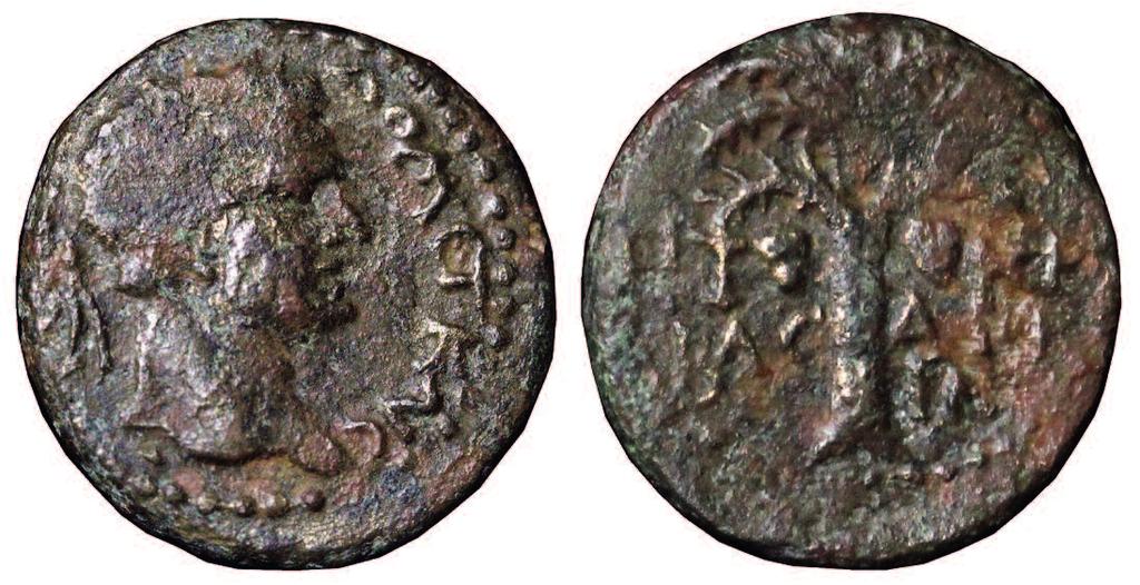 Figure 14 Bronze coin of Agrippa II found at Bethsaida in 2014.