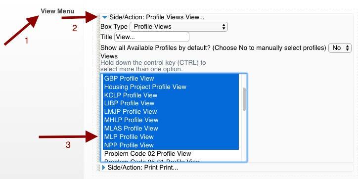 4. Scroll down to the View Menu, open up Side/Action: Profile Views View, and activate your new MLP Profile View