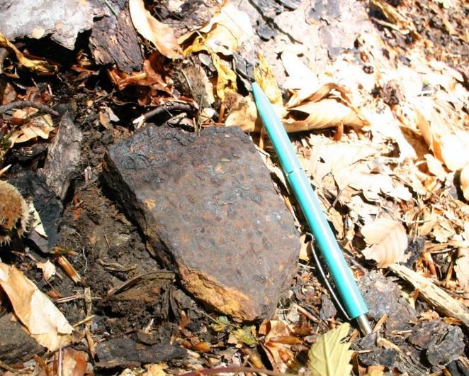 Pe lângă fragmente ceramice scoase de căutătorii de comori, am văzut și o bucată de fier pe una dintre terasele de pe Dealul Arieșului, aruncată lângă o groapă.