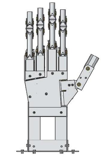 Chung Yik Lau and Almon Chai / Procedia Engineering 41 ( 2012 ) 737 742 739 3. Robotic hand design 3.1. Mechanical profile The design of the robotic hand resembles the anthropomorphic structure of the human s right hand.