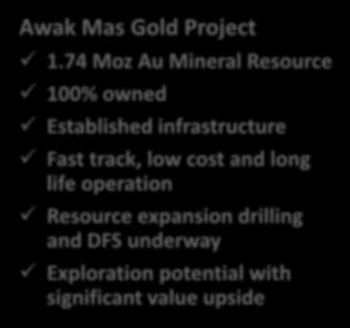 74 Moz Au Mineral Resource 100% owned Established infrastructure Fast track, low cost and long life operation Resource expansion drilling and DFS underway