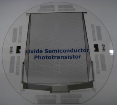 switch TFT (Shield Metal) Transparent photo-sensor array due to simple structure