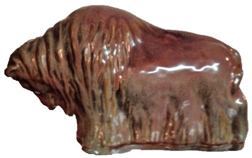 longhorn bulls Bison 1950s 7 x 5