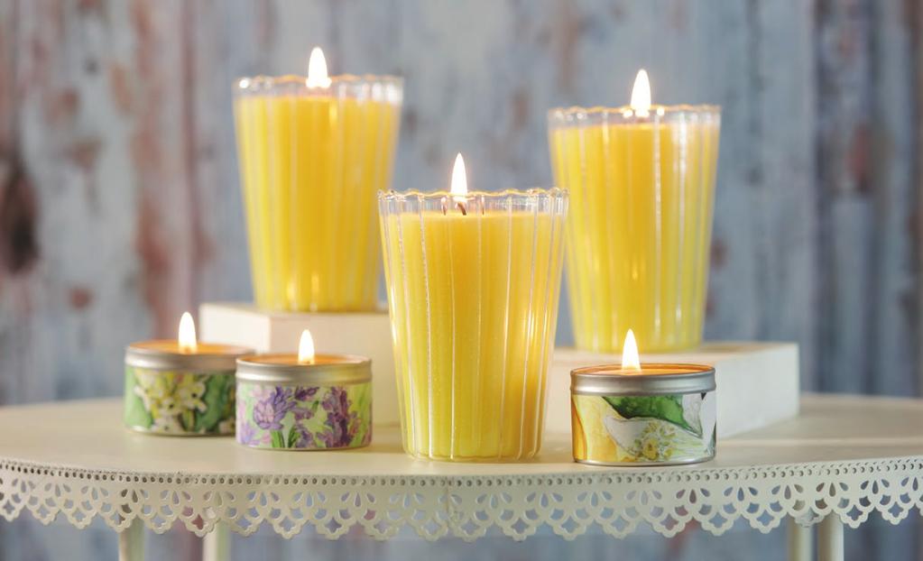 Verdure Collection 100% Beeswax + Pure