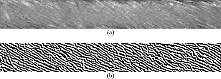 Figure 12. (a) Original core image and (b) inverse of filtered FT after thresholding at 0. Figure 13. Output of the hybrid-processing algorithm.