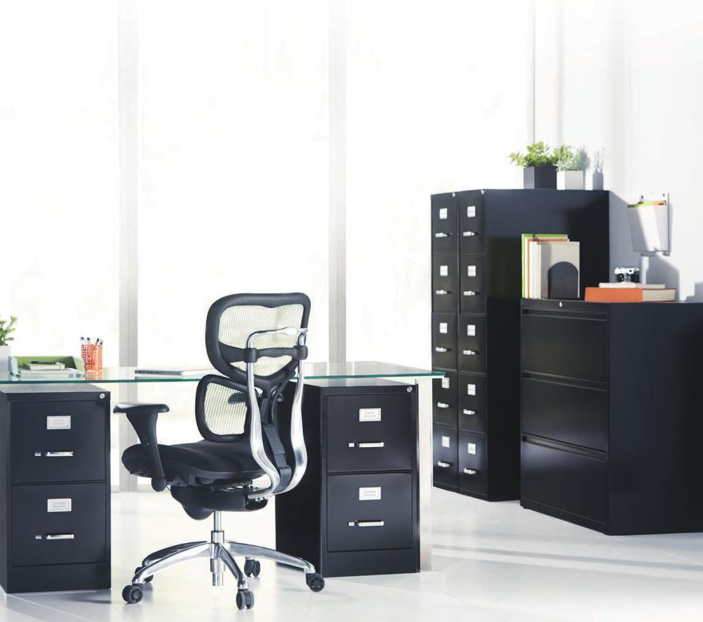 20 % ALL WORKPRO METAL FILING exclusively for Professional cabinets