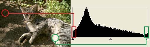 When you see a histogram that's clipped on both sides, it means that there are portions of the photo that are so bright that they appear as pure white (the clipping on the right side of the chart)