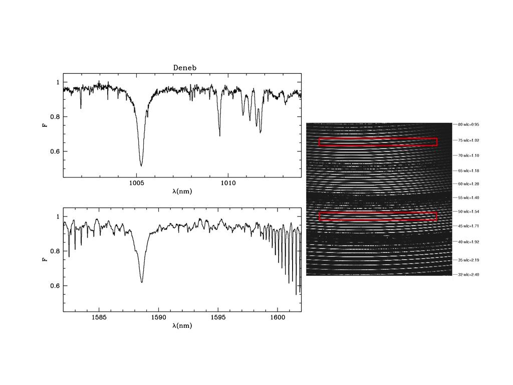Figure 24 First light of GIANO Prelist system on 2013 at TNG: on the right the raw echellogram (200 s integration time), on the left the normalized spectra of the two red boxes are shown. 5.
