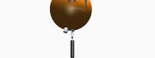 NASNet Station Features: Range and telemetry broadcast capability Buoy configuration enables long range capability Buoy Umbilical (100m) Sophisticated signal