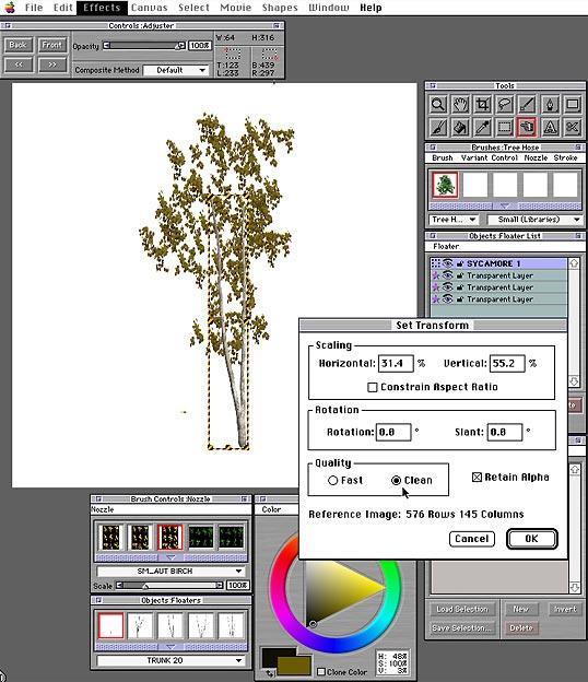 12) Pull down the Effects: Orientation menu and select Free Transform. 13) Use a corner grabber to scale the tree trunk to size or select Set Transform and enter the numerical data as shown.