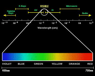 readily reflect wavelengths in the 420 to 470 nm range while absorbing most others will appear as some shade of blue.