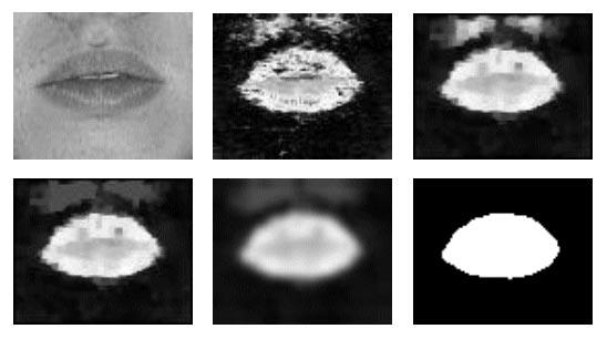 LIEW et al.: SEGMENTATION OF COLOR LIP IMAGES BY SPATIAL FUZZY CLUSTERING 545 center row.
