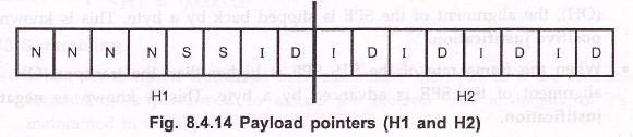Fig 8.4.14 shows the payload pointers. The two pointers, bytes H1 and H2, contain the actual pointer value.