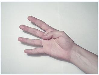 Detectarea si interpretarea gesturilor mâinii din achiziția video in timp real Decompoziţia mâinii în elemente (mână, degete, antebraţ) - Translatarea originii imaginii în centrul de greutate al
