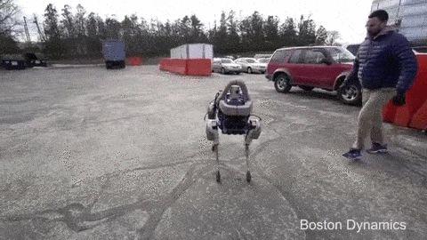 Robots: machines that