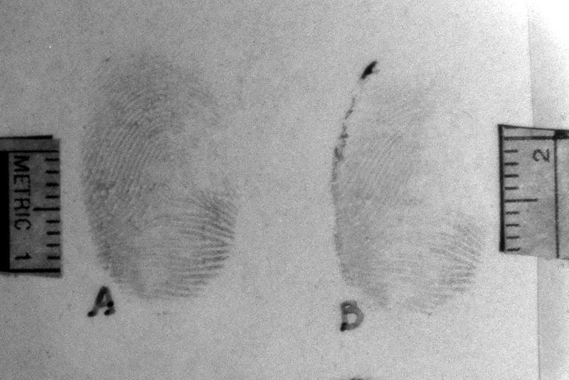 Bloody fingerprints Longwave UV (365nm