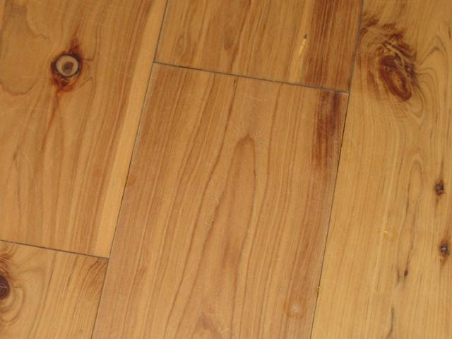 Human saliva on wood floor Saliva