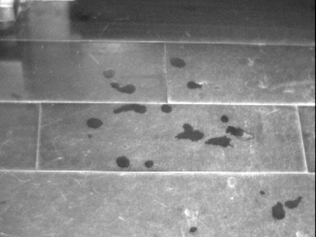 Imaging a wide area : Water splashes on a wood floor The area in the image is about 2 feet wide