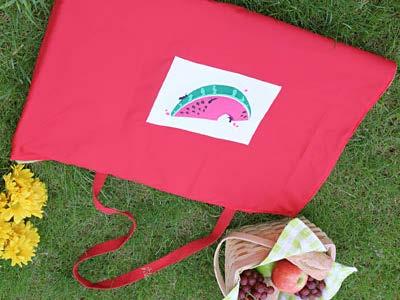 This travel blanket is the perfect on-the-go necessity for picnics, parades,