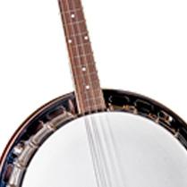 Different Types of Banjos Once you have determined what style of music you would like to play, that is, you know if you are shopping for an openback or a closed back, there are a few different types