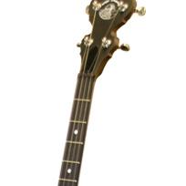 5-string banjos are used mainly for more traditional styles and genres like bluegrass, and old time folk music, and are built with either an open back or a resonator, depending on what style you want