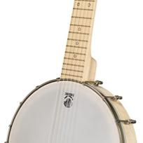 the plectrum banjo; the plectrum banjo plays just like a standard 5-string.