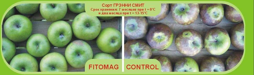 Beneficiile aplicării tehnologiei FITOMAG - Prelungirea termenului de păstrare a fructelor şi legumelor Pentru majoritatea soiurilor de mere termenul de păstrare în frigider cu atmosferă obişnuită