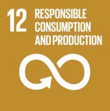 7 develop and implement tools to monitor sustainable development impacts for