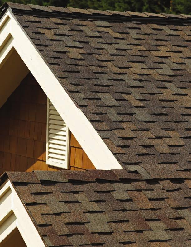 Roofing that outperforms Mother Nature In 1996 the Institute of Business and Home Safety (IBHS) and