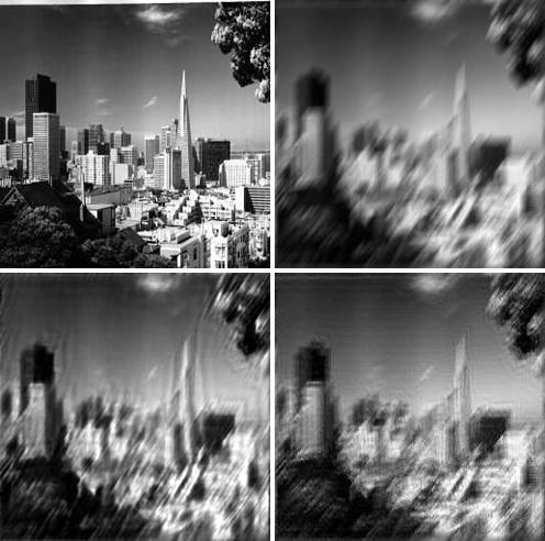 Figure 8: The top row represents the original san image, and the san image blurred with direction 55º and large blur length 15.