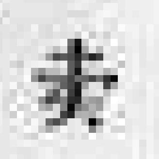 The raster image (pixel matrix).92.93.94.97.62.37.85.97.93.92.99.95.89.82.89.56.3.75.92.8.95.9.89.72.5.55.5.42.57.4.49.9.92.96.95.88.94.56.46.9.87.9.97.95.7.8.8.87.57.37.8.88.89.79.85.49.62.6.58.