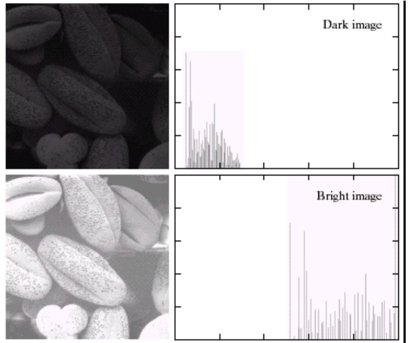 Image histogram vs image properties Dark