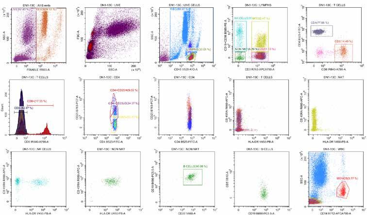 T cell subset analysis of human peripheral blood by 1 color immunophenotyping.