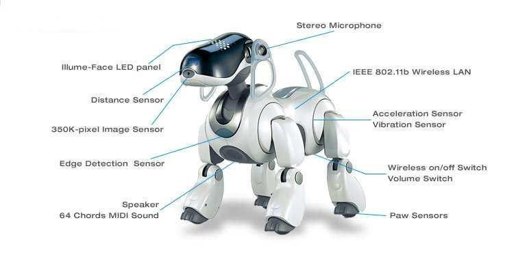 Figure 1: Picture of an ERS-7 Sony Aibo Robot. Image from the Aibo robot homepage [1]. software that allows the user to train the robot from a puppy state to a full grownup dog state.