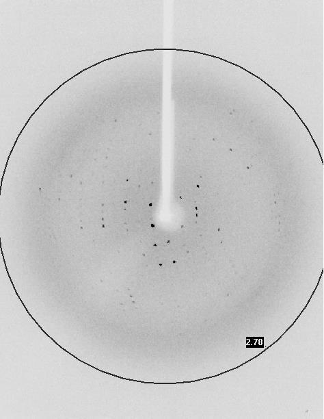 Ox 1 R-StaR data collection Crystal dimensions, µm