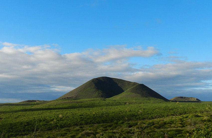 breeding This dormant volcano was a backdrop to our birding at Asilo de la Paz on Floreana that yielded the endemic