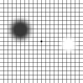 However, the Amsler grid, as originally introduced, is not sensitive enough to detect subtle visual field defects such as relative scotomas.