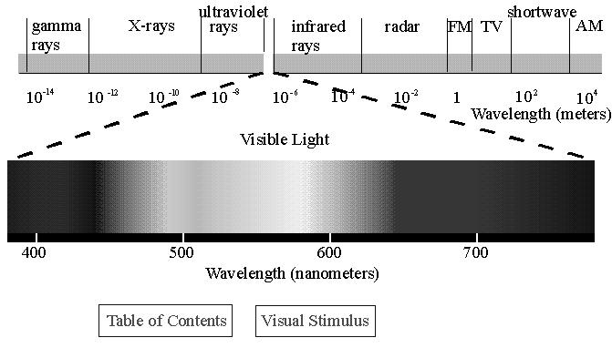 VISUAL PHYSIOLOGY The rods and the cones are responsible for picking up the information in visible light ( the photons) Our rods and comes are sensitive to visible light only, a portion of the