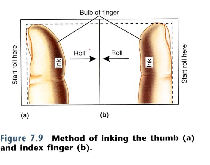 Activity 7: Taking and Identifying Inked Fingerprints For this activity, you will be working as a group with your lab partners.