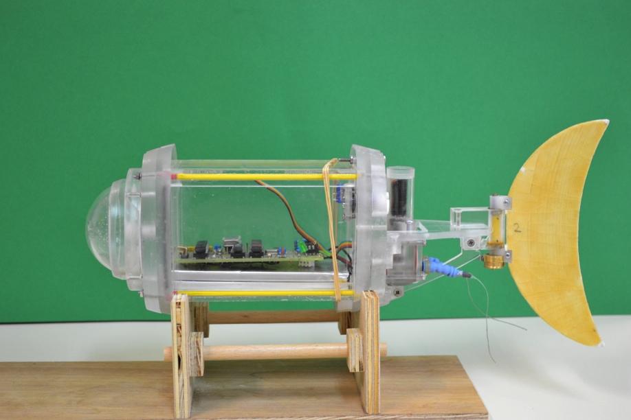 Robotic Fish (1/2)! Purpose:! Biomimetic robotic fish! Developed:!