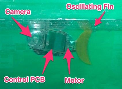 robotic fish Water
